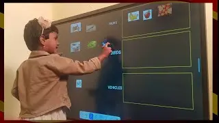 SEPARATE BIRDS-VEHICLES-FRUITS #kidsvideosforkidslearning #kidspuzzles #howtoteachkidsathome