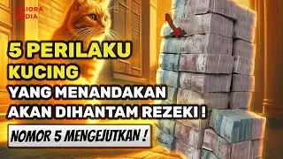 BERSIAPLAH ANDA AKAN TERKEJUT❗ 5 Perilaku Kucing Yang Menandakan Akan MMendapat Rezeki!🔥🔥