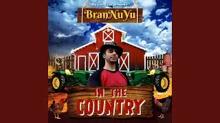 In The Country