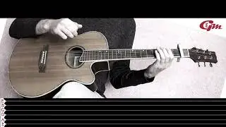 Conny Bergh&auml;ll - Revolution Lesson 15