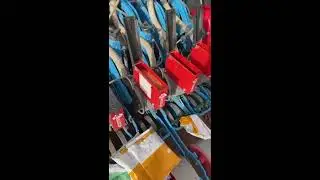 زراعة البصل بالبذارة في ساجر