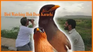 Bird watching nd Rain travel at Hub Dam District Malir Karachi November 2023