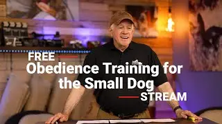Free Stream - Obedience Training for the Small Dog with Josh Moran