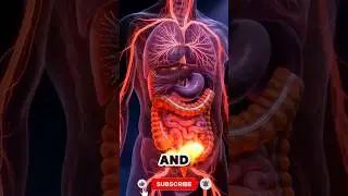 What Fried Chicken REALLY Does Inside Your Body 🍗😱 | 3D Medical Animation