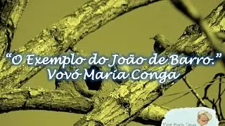 O Exemplo do João de Barro - Vovó Maria Conga