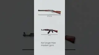 The Bondikula Gun | Kandyan Power and Craftsmanship