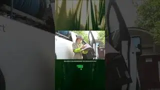 How to Kill Weeds on Large Gravel Pads, Driveways & Parking Lots | Green Drop Vegetation Control