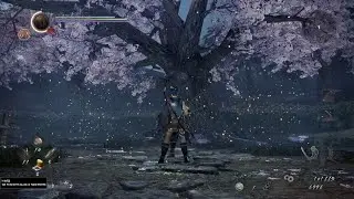 Nioh 2 First mission Dexterity level 40