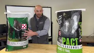 What's the best mare and foal horse feed?