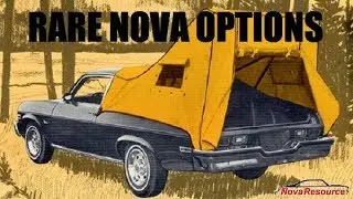 NovaResource VLOG: Редкие и ценные варианты Nova