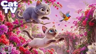 Cartoon for Cats: Cat Videos for Cats to Watch with Calming Music for Cats |Cat Entertainment Videos