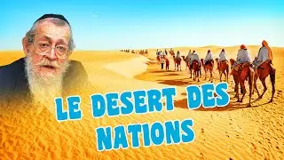 Rav Kaplan | Le d&eacute;sert des nations | B&eacute;ahaloteh'a | En h&eacute;breu, traduit au fur et &agrave; mesure.
