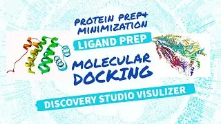 How completely prepare protein for docking/ protein minimization/discovery studio