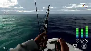 Top 10 Record Fish In Fishing Planet