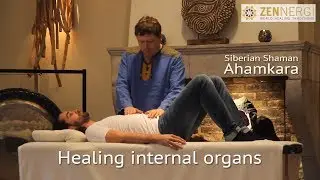 Demo healing internal organs by Ahamkara at Zennergi