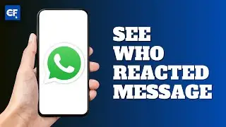 See Who Reacted to Your Message on WhatsApp