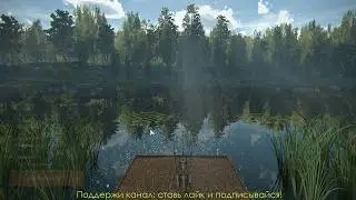 Fishing Planet.Основы фидерной ловли.