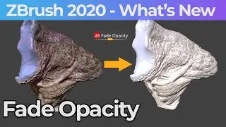 030 Zbrush 2020 Polypaint Fade Opacity