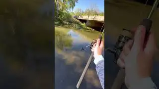 Trail Creek Indiana Salmon Fishing #salmon #fishing #trout #steelhead