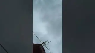 Destructive Thunder Storm In Bihar || 😱 || #thunderstorm #rain #bihar