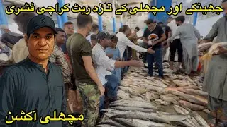 Prawns & fish price update & fish auction Karachi fish harbour August 24, 2025