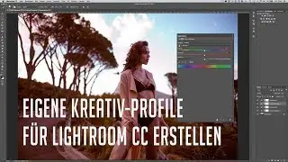 LUT Farbprofile f&uuml;r Lightroom selbst erstellen