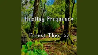 Magical Frequencies of Nature in a Secret Forest