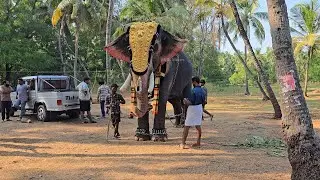 അവന്റെ നിൽപ്പ് കണ്ടോ അക്കരമേൽ ശേഖരൻ Akkaramel sekharan എടക്കഴിയൂർ നേർച്ച 2026 Edakkazhiyoor Nercha