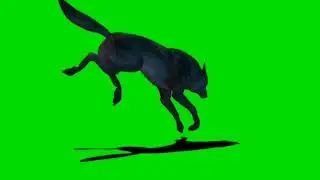 Werewolf animated Green screen || Best attacked video!
