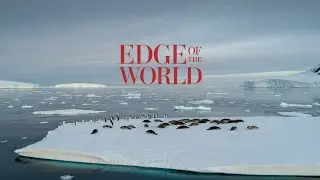 Antarctica in 4K | Epic Drone Footage of Icebergs, Penguins & Frozen Wilderness