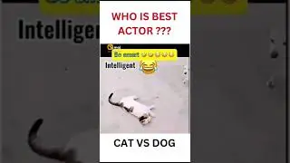 Funny video 🤣