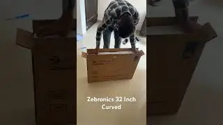 #zebronics #32inch #monitor #zebronicssoundbar #curvedmonitor