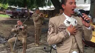 Nos estorbó la ropa - Mariachi Reforma