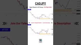 CADJPY Forex Trading Signal Result [+310 Pips Profit] | #shorts #cadjpy