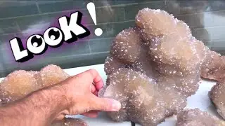 FINDING Citrine Smoky Quartz POPPING Out Of The Ground | Crystal Mining