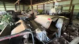 Barn Find ,3  69Mach 1Mustangs ,F100&rsquo;s, Limousine Knipex Garage #automobile #hotrodding #fordengine