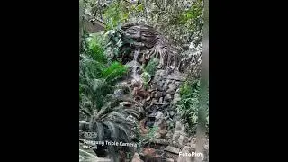 Celebrity resort | Shamirpet | Hyderabad natural ✨️