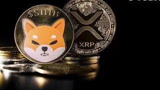 LIVE CRYPTO TALK: XRP, LUNC, BNB TIGER AND BNB LION, SHIBA INU!