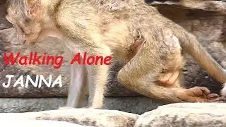 Million Pity Poorest Janna | Jane Mother Leave Walking Alone by BROKEN LEG | Monkey Crying
