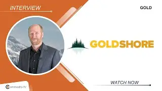 Goldshore Resources: More Exploration to Increase the 6.74 Million Oz Gold Resource in Canada