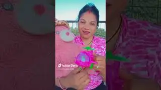 fulo wala chocolate comedy funny viral trending video