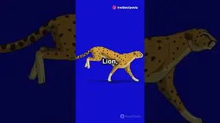 🦁 Wildlife Wonders: Ultimate Animal Quiz! 🐦 #facts #curiosphere #generalknowledge #science #quiz
