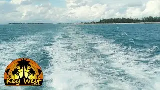Key West Florida - Tropical Marine Life | Oakland Travel