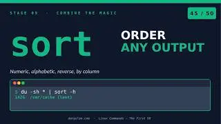 Linux Commands #45 sort - sort — Order Anything in Linux (-n, -h, -r, -k Explained)