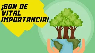 🌎Los RECURSOS NATURALES &ndash; RENOVABLES y NO RENOVABLES☀️/ ✔️Explicaci&oacute;n F&Aacute;CIL con EJEMPLOS