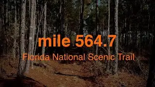 Florida National Scenic Trail: mi 564.7 - 588.2