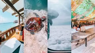 ZANZIBAR VLOG||atutianne.ke