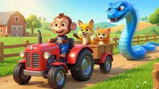 Monkey Funny | Caring Baby Monkey and Bunny Help a Lost Kitten | Monkey Cartoon