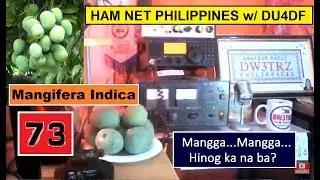 Indian Mangoes | Ham Net PHILIPPINES with Lito  DU4DF Naga City 5pm April 15  2019