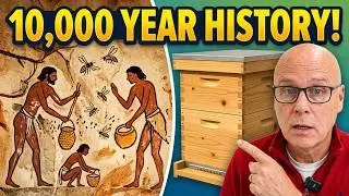 10 000-летняя история пчеловодства — от наскальных рисунков до Лангстрота